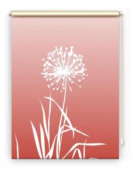 Rollo Allium 24 blanco pfeffer, Rollo, Motivrollo, Rollo mit Druck, Fotorollo, bedrucktes Rollo, Fensterrollo,verdunkelndes Rollo, Sonnenschutz Rollo